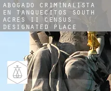 Abogado criminalista en  Tanquecitos South Acres II