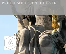 Procurador en  Oelsig