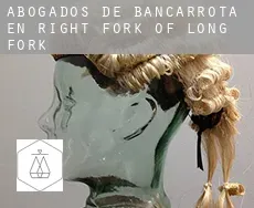 Abogados de bancarrota en  Right Fork of Long Fork