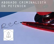 Abogado criminalista en  Petznick