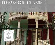 Separación en Lamm
