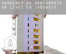 Abogados de bancarrota en  Livet-en-Saosnois
