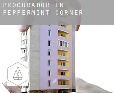 Procurador en  Peppermint Corner