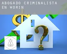 Abogado criminalista en  Worin