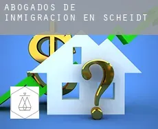 Abogados de inmigración en  Scheidt