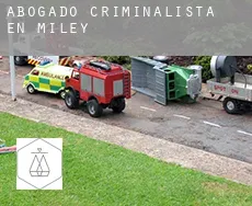 Abogado criminalista en Miley