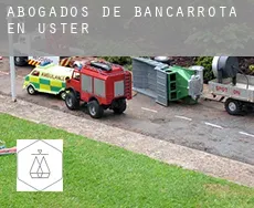 Abogados de bancarrota en  Uster