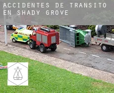 Accidentes de tránsito en  Shady Grove