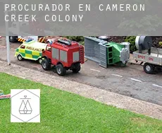 Procurador en  Cameron Creek Colony