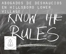 Abogados de deshaucios en  Hillsboro Lower Village