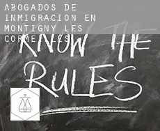 Abogados de inmigración en  Montigny-lès-Cormeilles