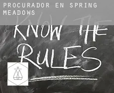 Procurador en  Spring Meadows