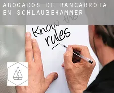 Abogados de bancarrota en  Schlaubehammer