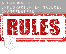 Abogados de inmigración en  Saulces-Champenoises
