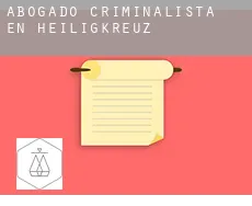 Abogado criminalista en  Heiligkreuz