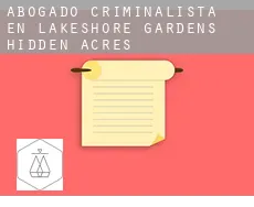 Abogado criminalista en  Lakeshore Gardens-Hidden Acres