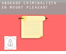 Abogado criminalista en  Mount Pleasant