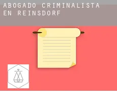 Abogado criminalista en  Reinsdorf