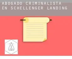 Abogado criminalista en  Schellenger Landing