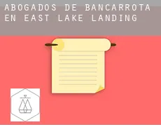 Abogados de bancarrota en  East Lake Landing
