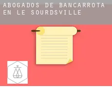 Abogados de bancarrota en  Le Sourdsville