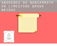 Abogados de bancarrota en Limestone Brook Bridge