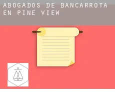 Abogados de bancarrota en  Pine View