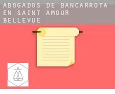 Abogados de bancarrota en  Saint-Amour-Bellevue
