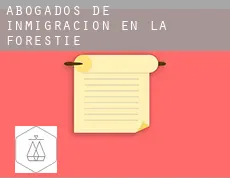 Abogados de inmigración en  La Forestie