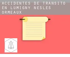 Accidentes de tránsito en  Lumigny-Nesles-Ormeaux