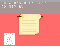 Procurador en  Clay County