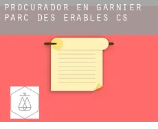 Procurador en  Garnier-Parc-des-Érables (census area)