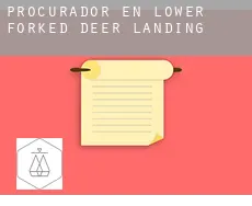 Procurador en  Lower Forked Deer Landing