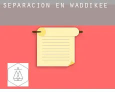 Separación en  Waddikee