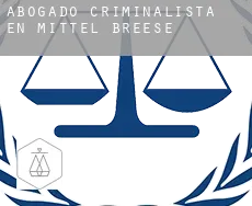 Abogado criminalista en  Mittel-Breese