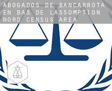 Abogados de bancarrota en  Bas-de-L'Assomption-Nord (census area)
