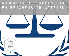 Abogados de bancarrota en  Reichenbach-Steegen