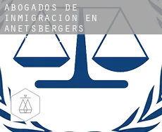 Abogados de inmigración en  Anetsberger's Subdivision