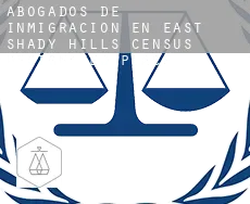 Abogados de inmigración en  East Shady Hills