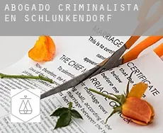 Abogado criminalista en  Schlunkendorf