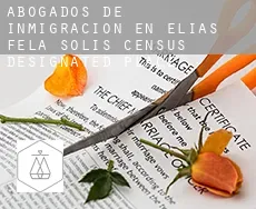 Abogados de inmigración en  Elias-Fela Solis