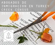 Abogados de inmigración en  Turkey Creek