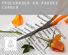 Procurador en  Pardee Corner