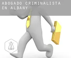 Abogado criminalista en  Albany