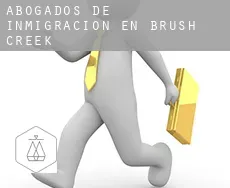 Abogados de inmigración en  Brush Creek