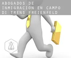 Abogados de inmigración en Campo di Trens - Freienfeld