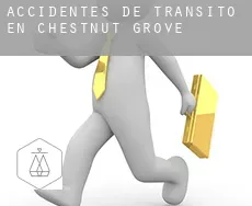 Accidentes de tránsito en  Chestnut Grove