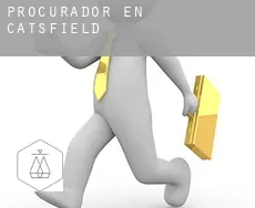Procurador en  Catsfield