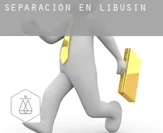 Separación en  Libušín