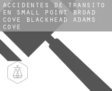 Accidentes de tránsito en  Small Point-Broad Cove-Blackhead-Adams Cove